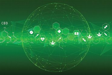 The Pros and Cons of Putting Cannabis on the Blockchain